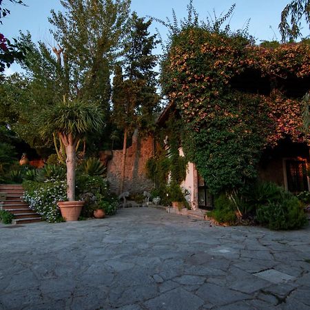 Villa Le Palme Forio di Ischia Εξωτερικό φωτογραφία