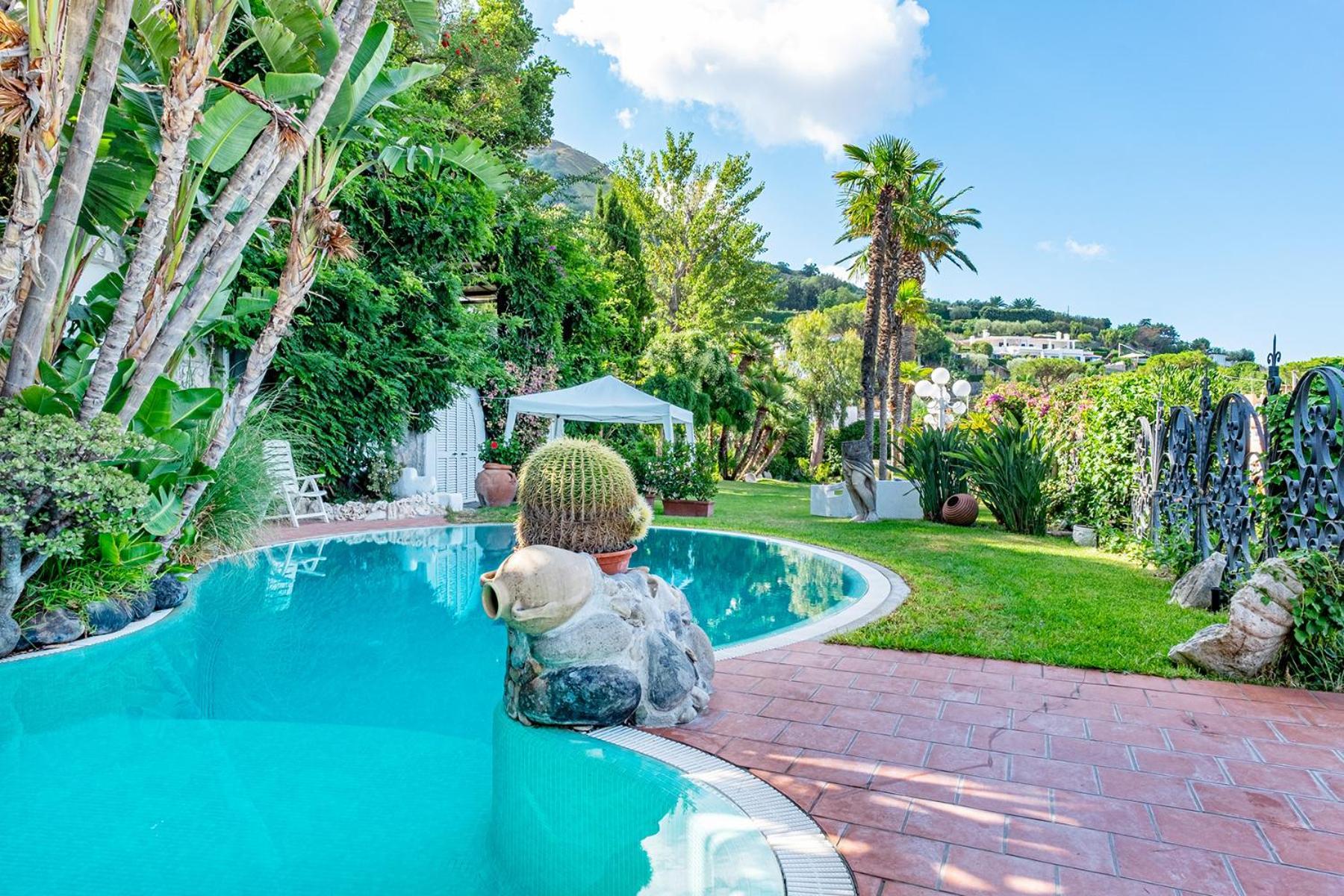 Villa Le Palme Forio di Ischia Εξωτερικό φωτογραφία